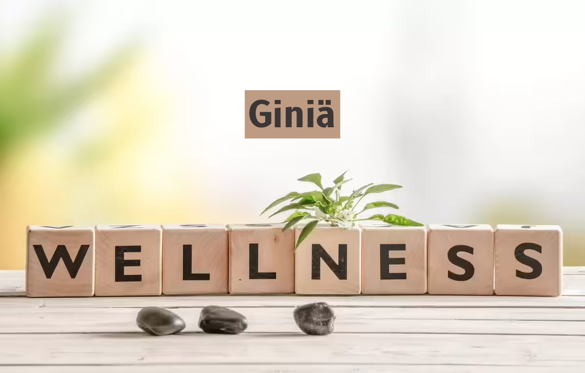 Giniä